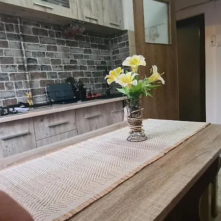 Bobocea Summer 아파트 *