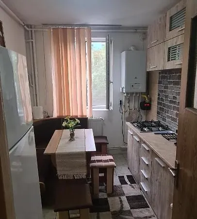 Bobocea Summer 콘스탄차