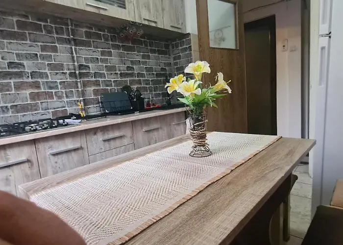 Bobocea Summer Appartamento *